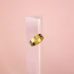 Anillo sin optimizar - Imagen 2