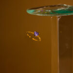 Anillo Dorado de Acero Inoxidable (ajustable) - Purpulette fondo oscuro