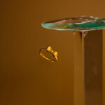 Anillo Dorado de Acero de Titanio de Moñito - Tuxedo fondo oscuro