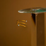 Anillo Puntas de ZIrconia (ajustable) - Acero Inoxidable fondo oscuro